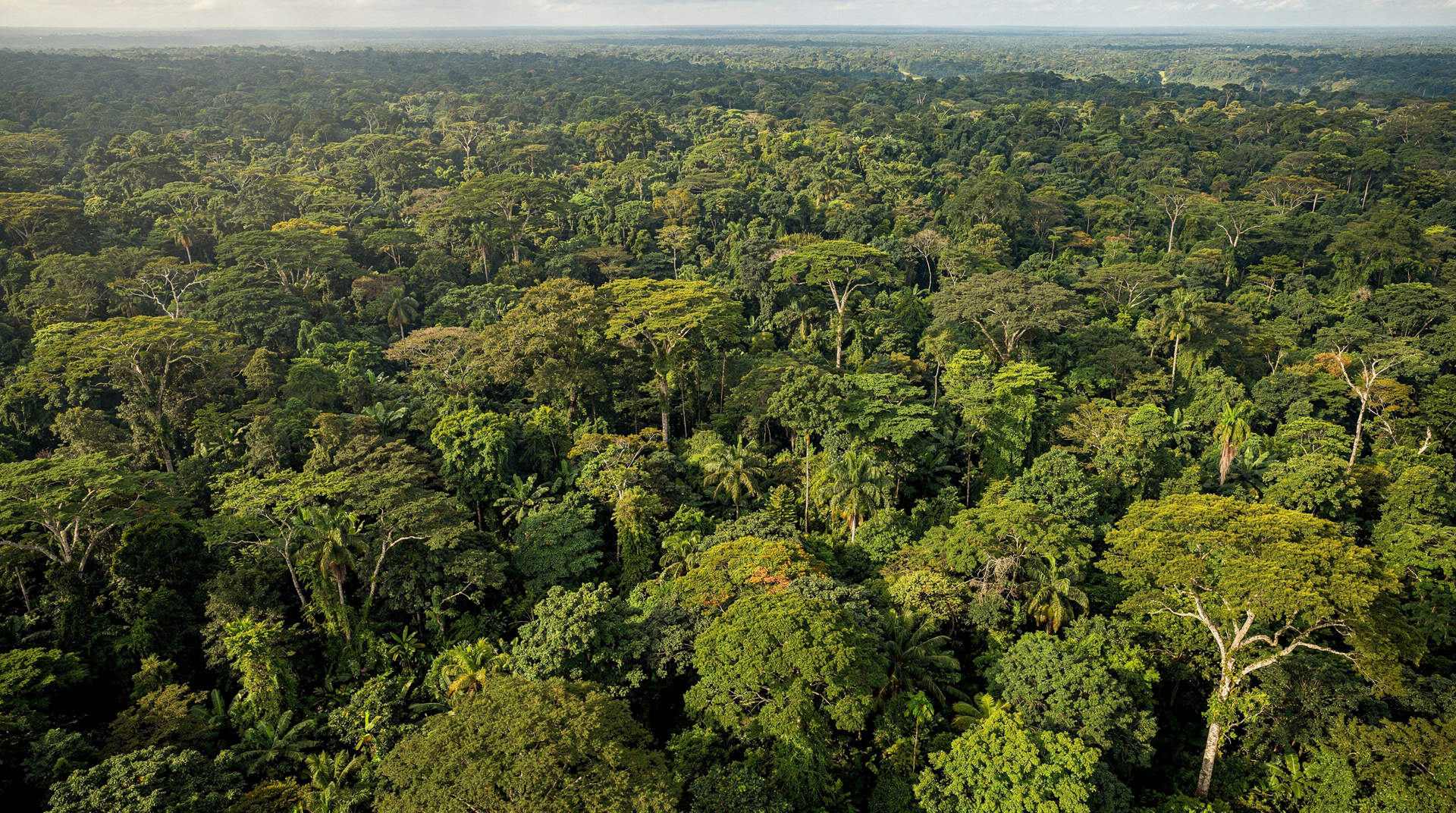 Carbon neutrality and Costa Rica's climate leadership