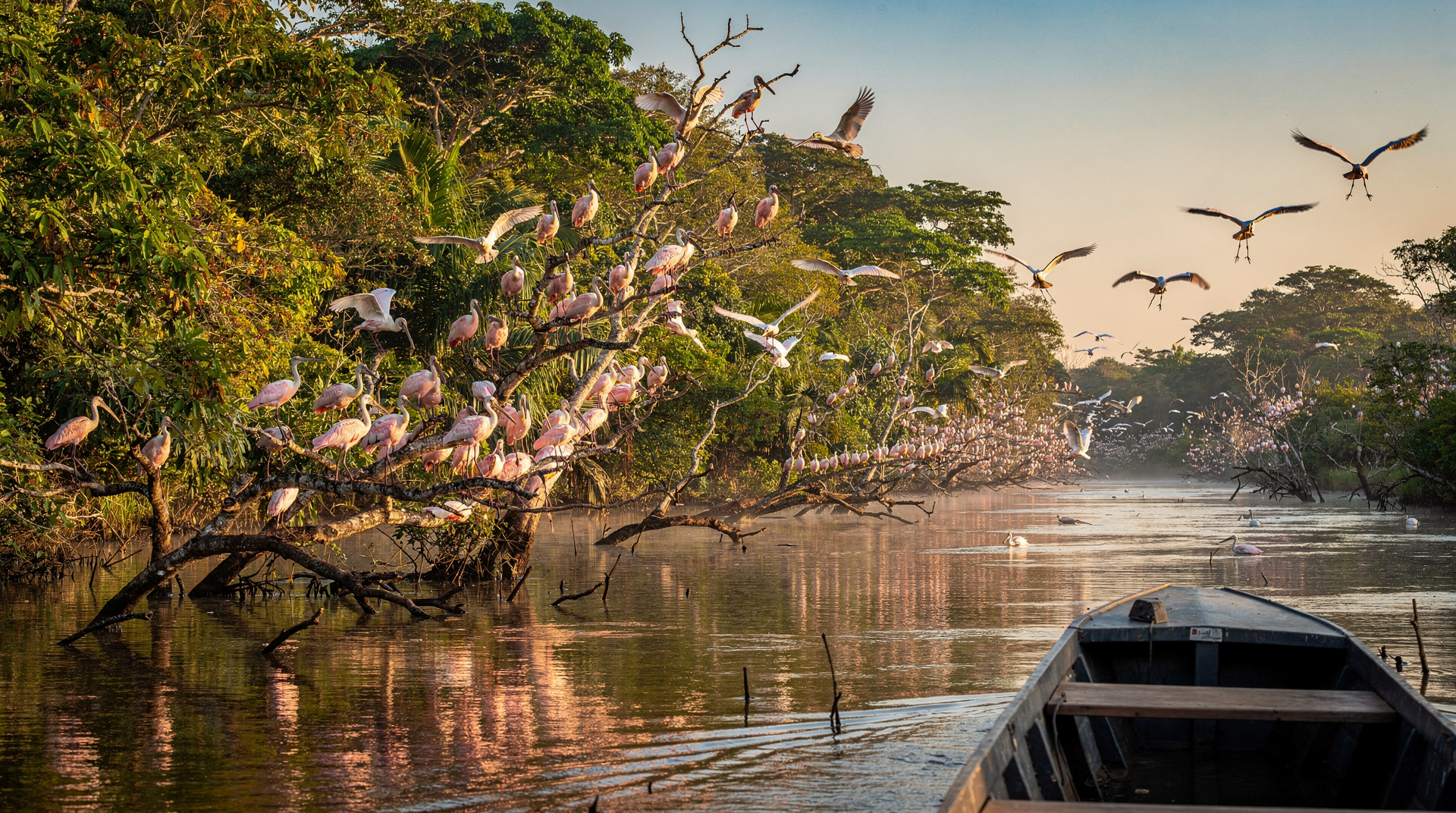 Caño Negro Wildlife Refuge: the forgotten wetland