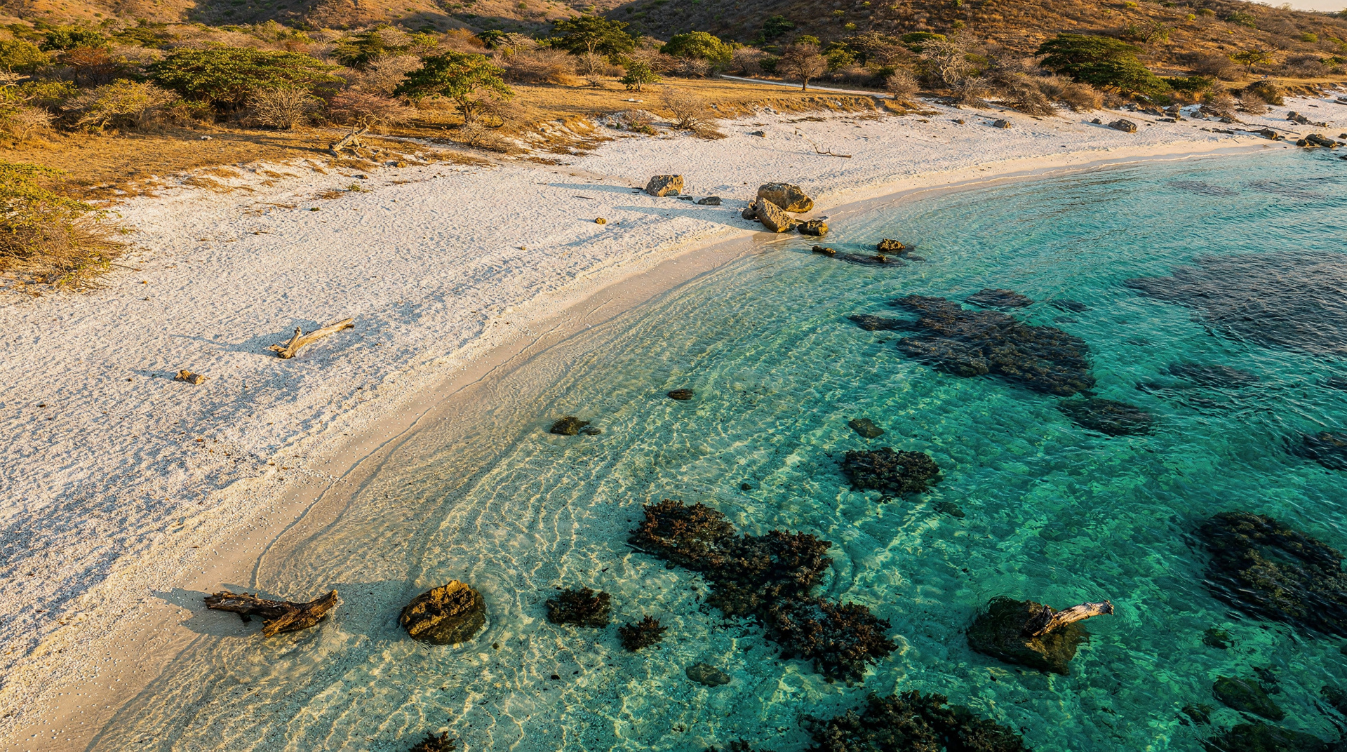 Playa Conchal — crushed shells, turquoise water, and Guanacaste's most beautiful beach