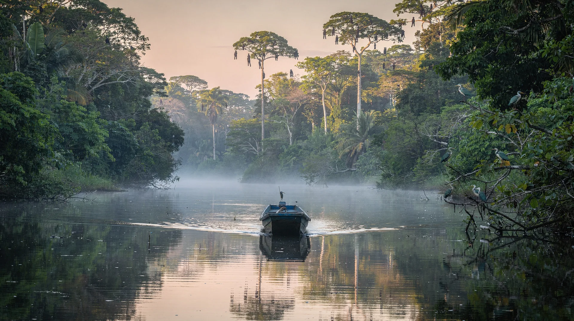 Tortuguero — kanałowe wioski, leśne drogi wodne i zielone żółwie morskie