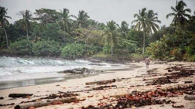 Manuel Antonio: catamaran cruise with a meal
