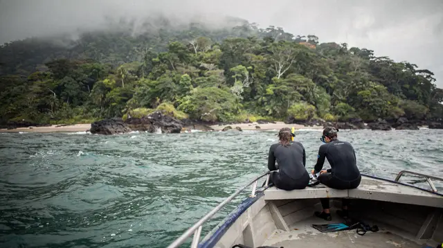 Licensed two-hour snorkeling adventure Cahuita NP