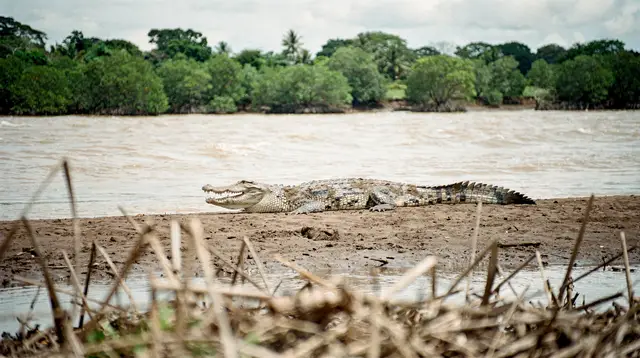 From Guanacaste: Rio Celeste, sloth sanctuary & waterfall