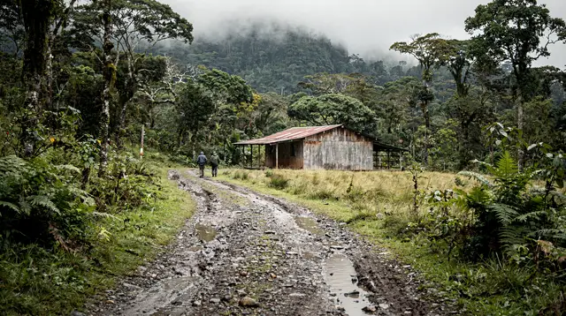 Costa Rica: guided hike in Monteverde Cloud Forest reserve