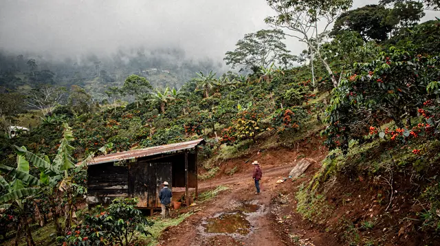 Nosara: traditional Costa Rican cooking class and meal