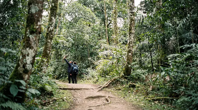 Monteverde: cloud forest and butterfly farm full-day tour