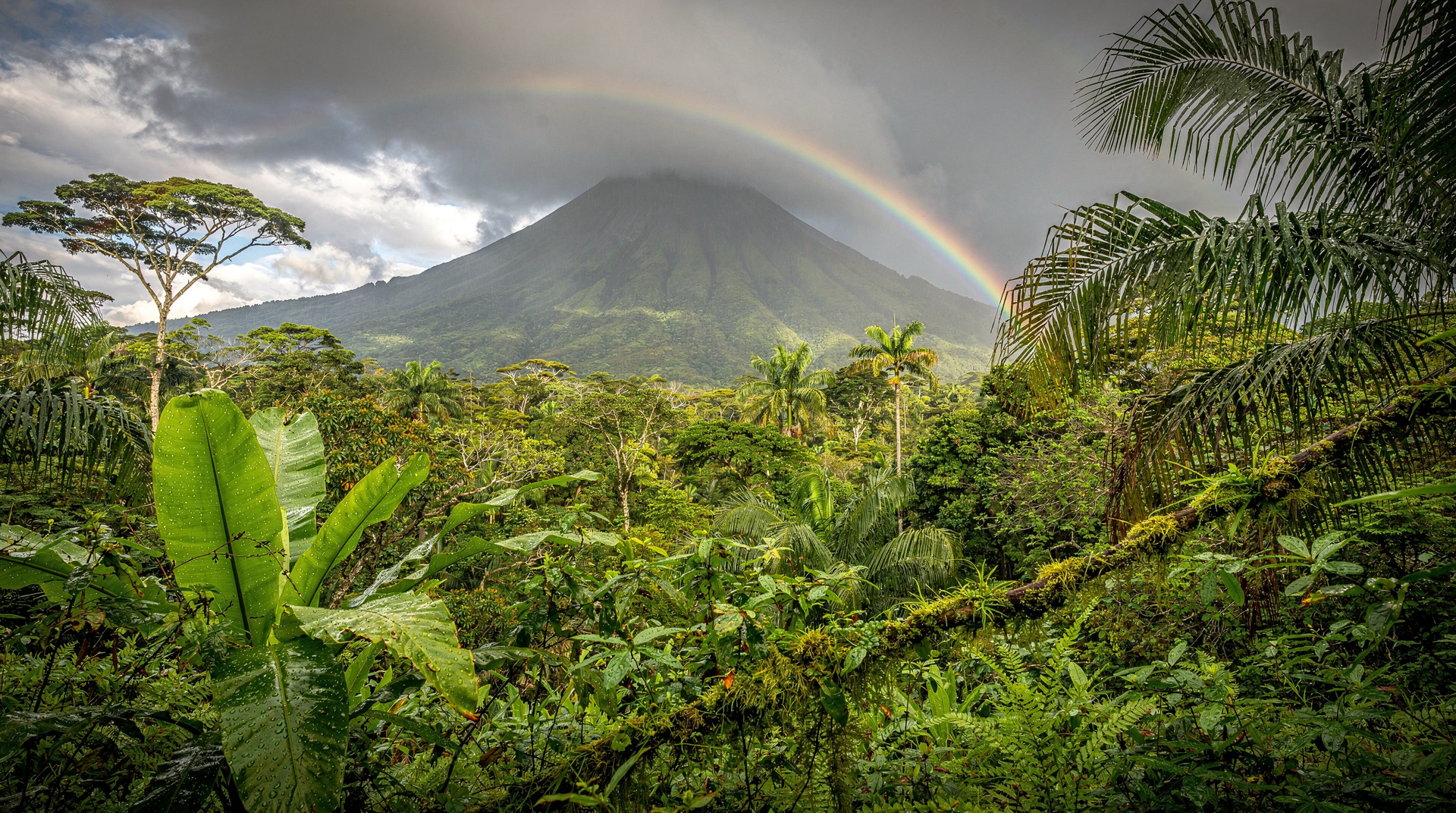 Green season Costa Rica: why it's worth considering