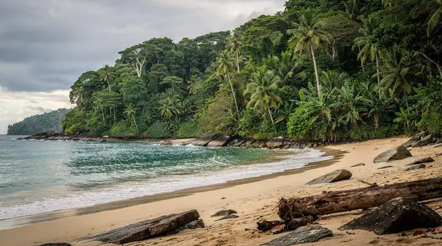 Playas del Coco: sunset sailing and snorkeling tour