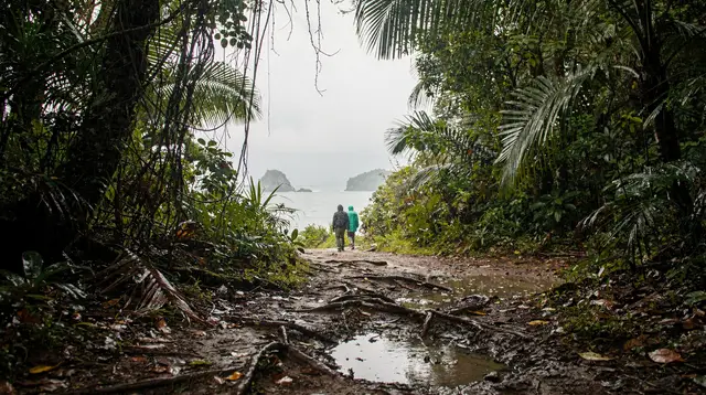 Manuel Antonio Park: guided tour with ticket (3-hour)