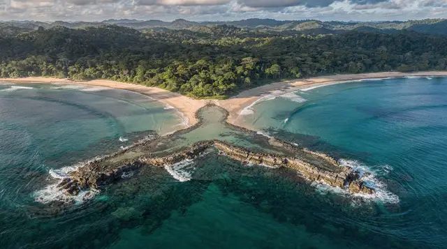 Manuel Antonio Park: guided walking tour with a naturalist