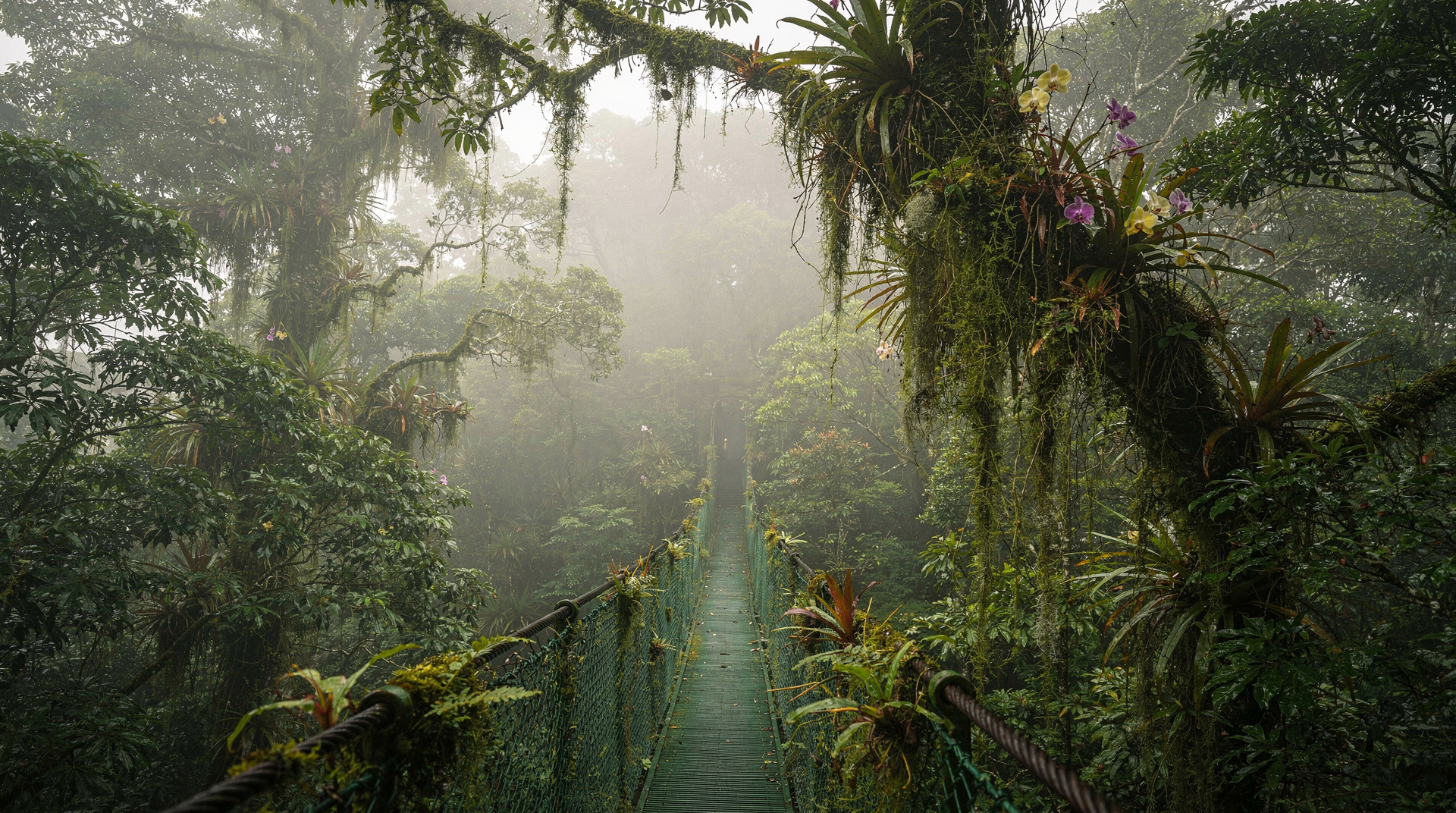 Monteverde vs Santa Elena reserve: which to visit?