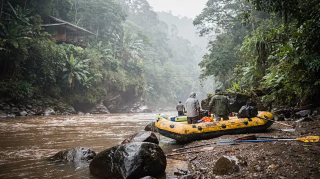 Rafting Class 3-4 "Jungle Run": Río Sarapiquí