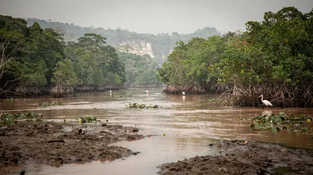 Drake Bay: Corcovado NP and Sirena Station tour