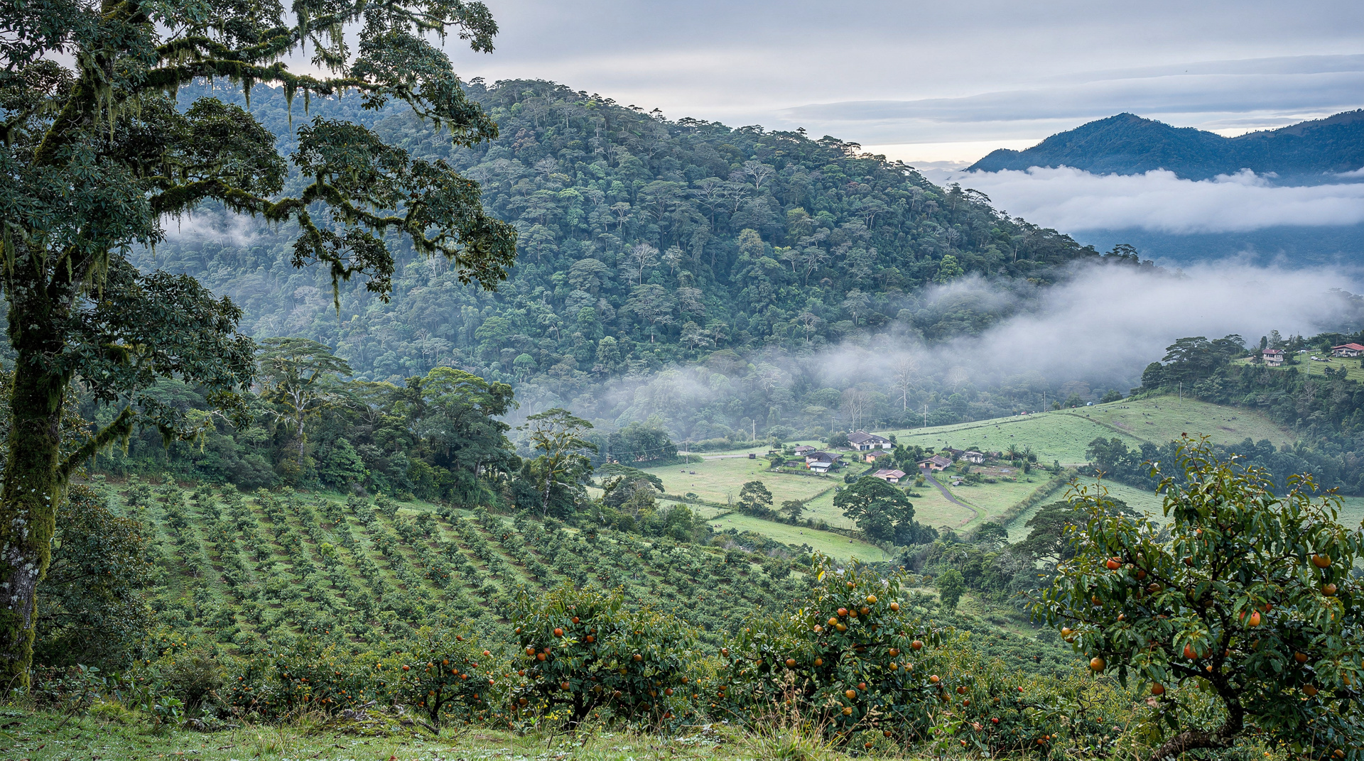 San Gerardo de Dota: quetzals and cloud forest in the Talamanca