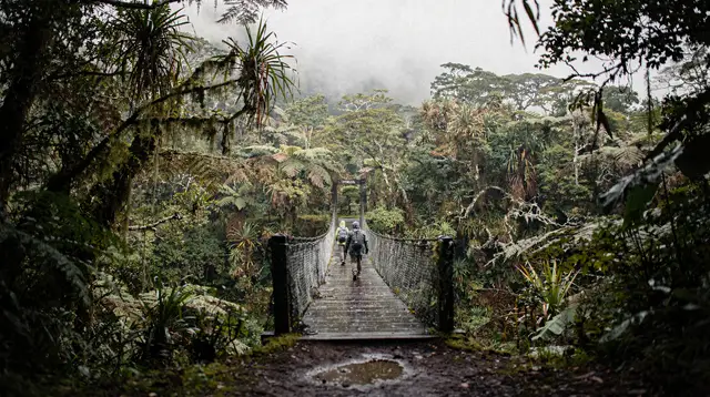 Coco Beach: private ATV adventure 4-hour